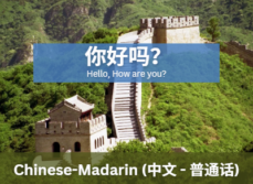 Chinese Language Training