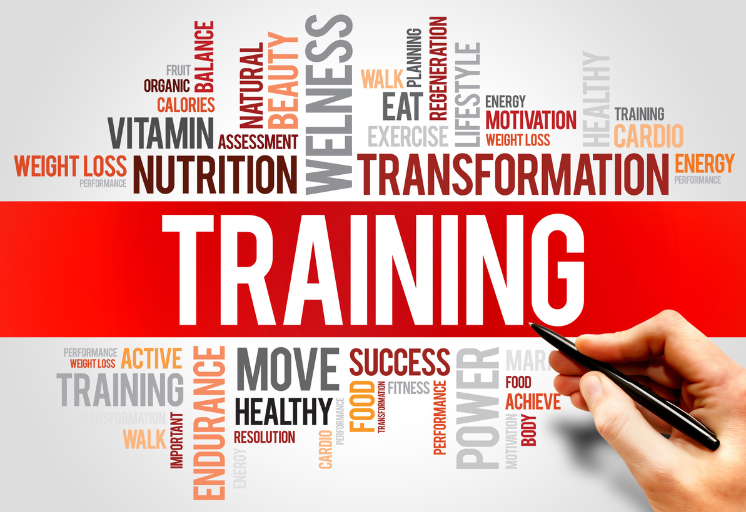 What Makes PINNACLE Stand Out in Education and Training in the UAE